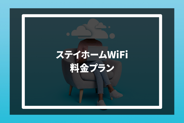 STAY HOME Wi-Fi 料金プラン