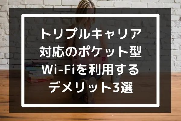 売れ筋ランキングも リチャージ wi-fi トリプルキャリア その他